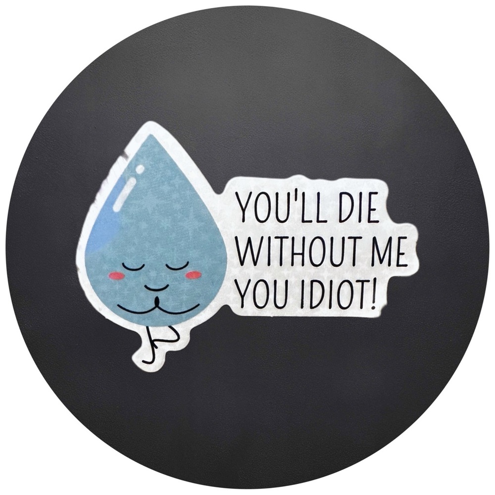 5 for $5 You’ll die without me you idiot…Vinyl Holographic Sticker